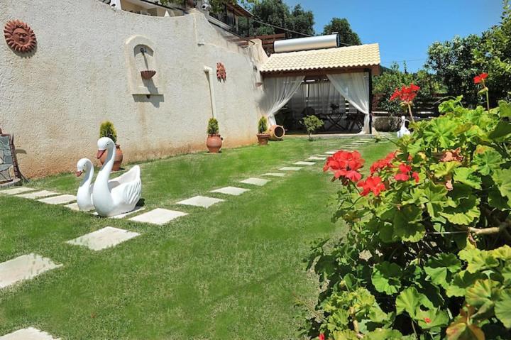 Angela Panorama Villa Paleokastritsa Exterior foto